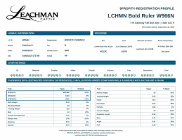 LCHMN Bold Ruler W966N — $P — 28388 - Leachman Cattle Company